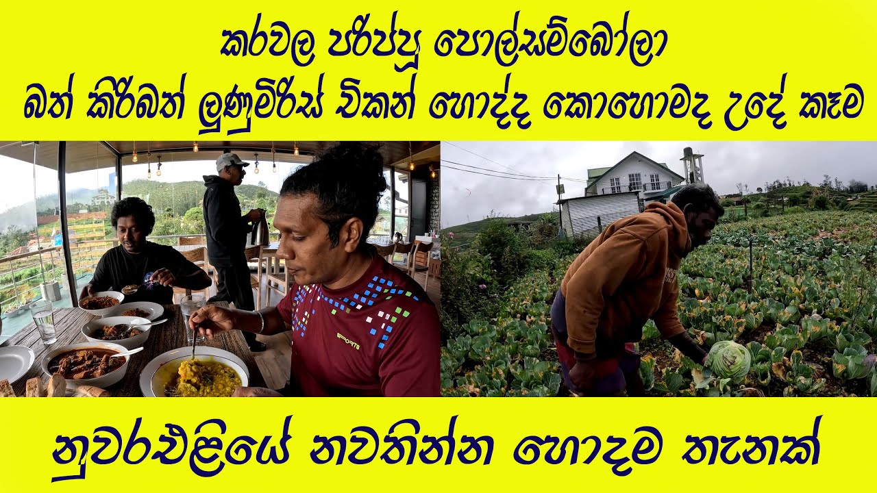 උදෙන්ම ගෝවා කොටුවකට ගියා 😍 මීදුම උඩ කන්දෙන් ගලන ලස්සන මෙතනට👍 Nuwara Eliya Hotel 🧡