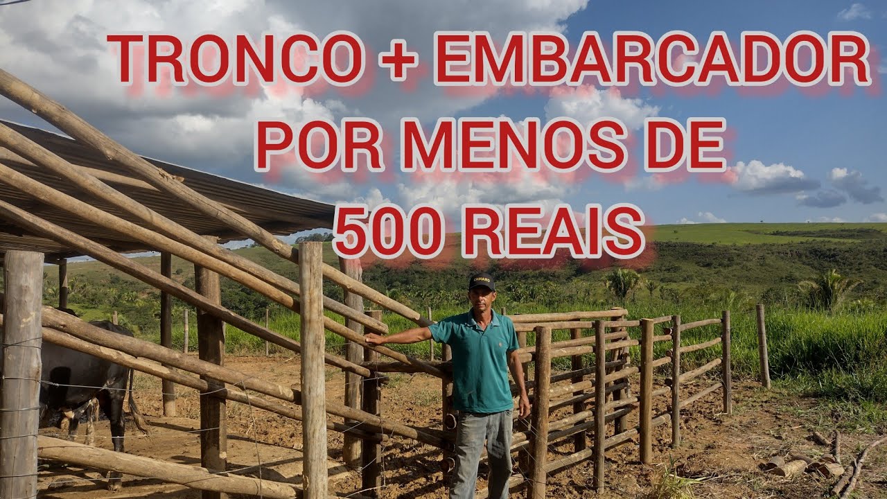 tronco ou brete + embarcador de gado por menos de 500 reais ,esse realmente é de baixo custo
