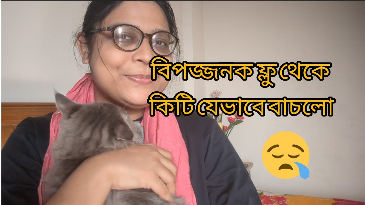 Kitty'r  ফ্লু থেকে সুস্থ হওয়ার গল্প! 🐱💉