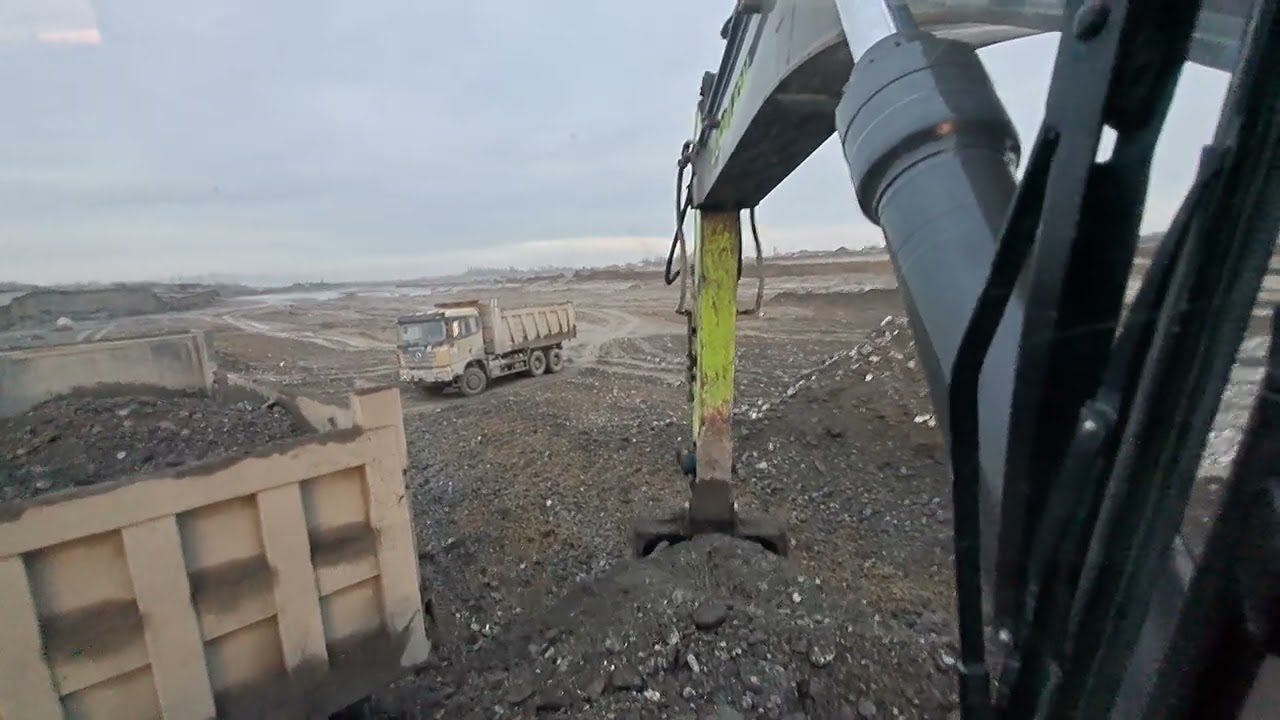 11 января 2026 г. Зоомлион 330