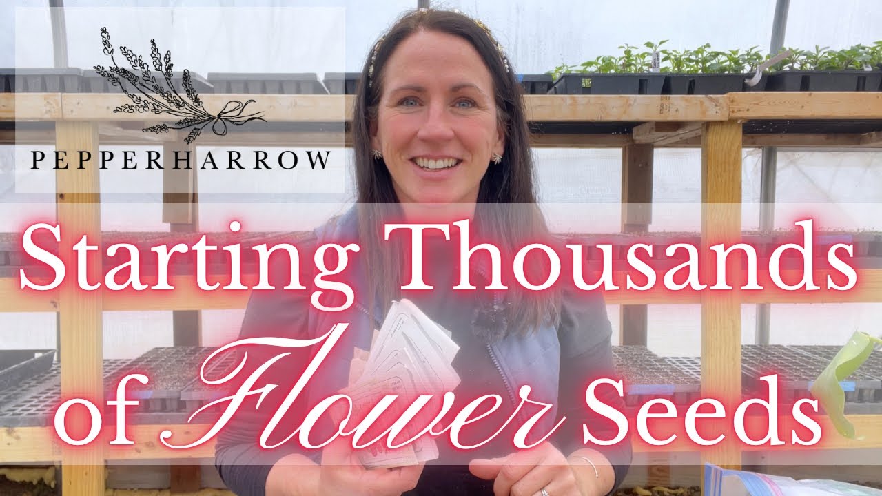 Starting THOUSANDS of FLOWER Seeds | PepperHarrow