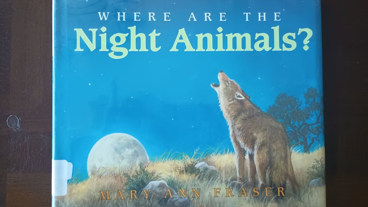 Book of the day: Where are the night animals?
