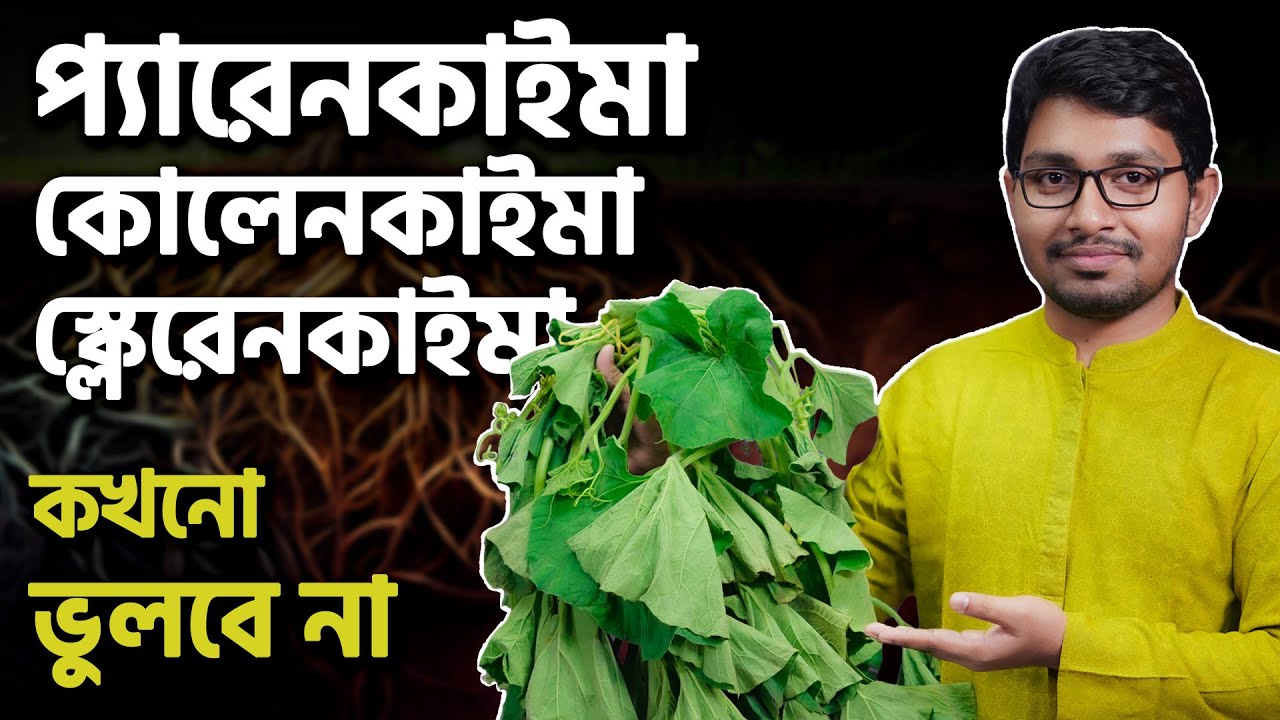 সহজেই মনে রাখো প্যারেনকাইমা, কোলেনকাইমা, স্ক্লেরেনকাইমা | SSC Biology | Chapter 2 | Utkorsho