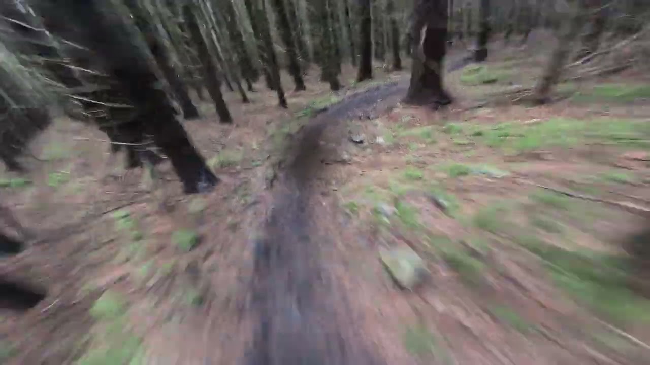 Wolverine GOLFIE 