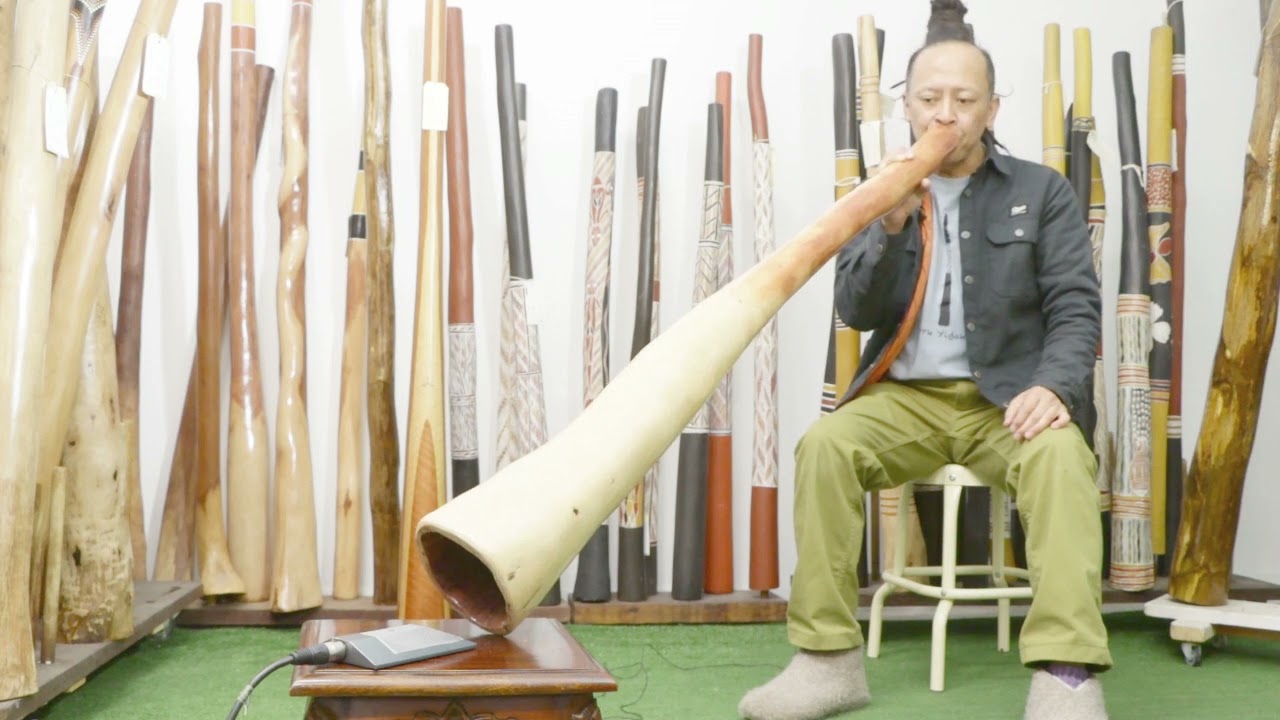 Earl Clements Didgeridoo key of D#   7648