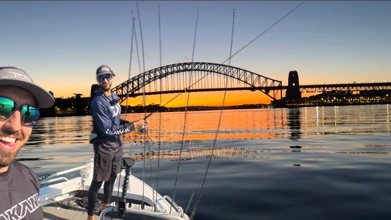 Рыбалка в Сиднейской гавани с The Finesse Angler | Миссия по ловле королевской макрели → Сессия п...