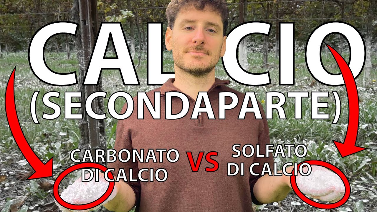 IL CALCIO IN AGRICOLTURA (SECONDA PARTE)