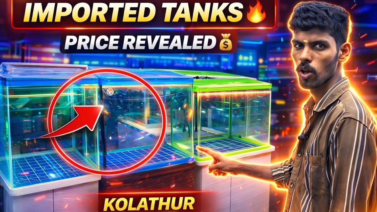 📍Chennai Kolathur 🐬🐡Imported Tank Shop | Fish Tank Price and Details💸 Shop number: 99625 32474