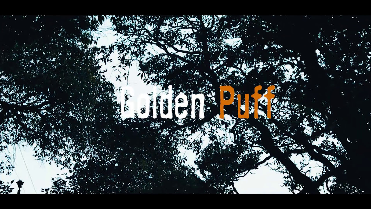 Golden Puff Short Film -  Don't dare to Smoke