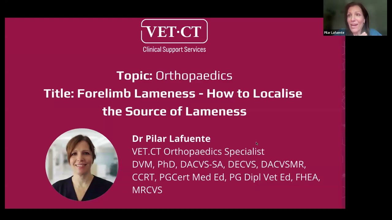 VET.CT Specialist Webinar - Forelimb Lameness - How to Localise the Source of Lameness