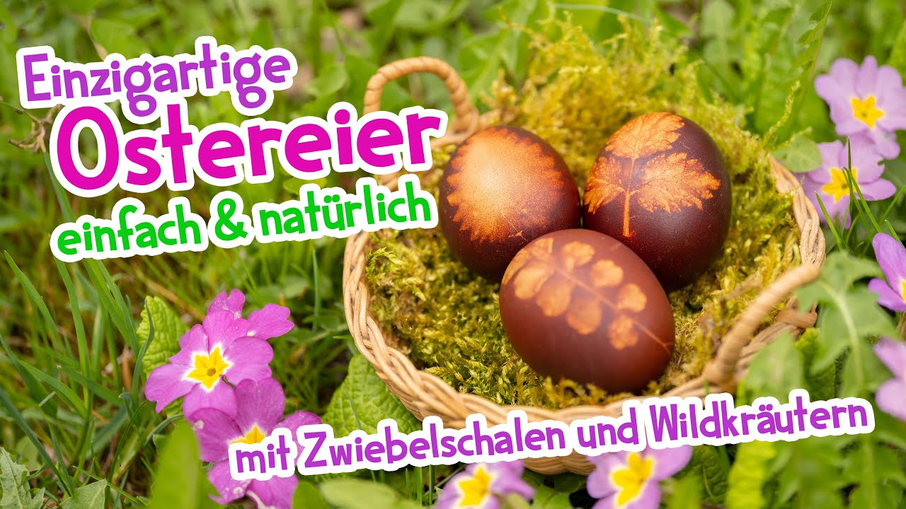 Eier natürlich färben mit Zwiebelschalen und Wildkräutern 🥚🌱 Omas Osterrezept #wildkräuter #ostern