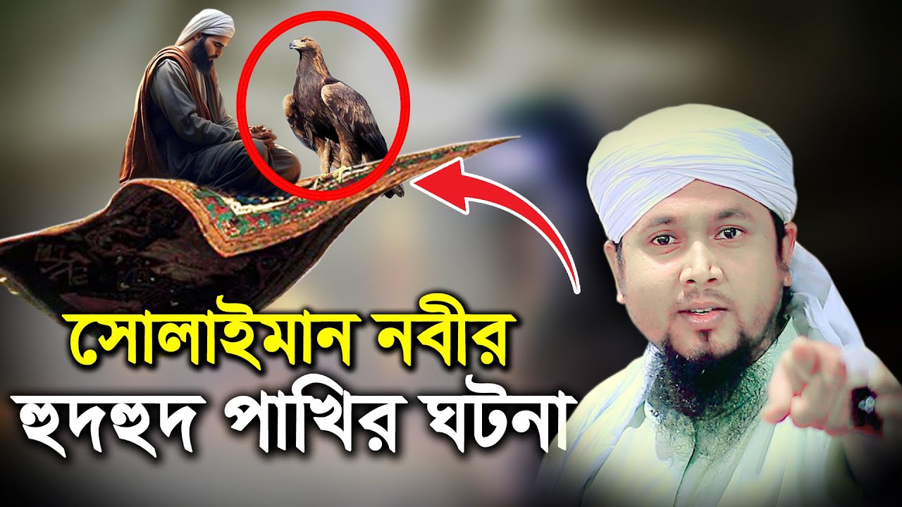 সোলাইমান নবীর হুদহুদ পাখির ঘটনা।Hudhud bird incident of Sulaiman Prophet। হাফেজ আবু হানিফ আনোয়ারী