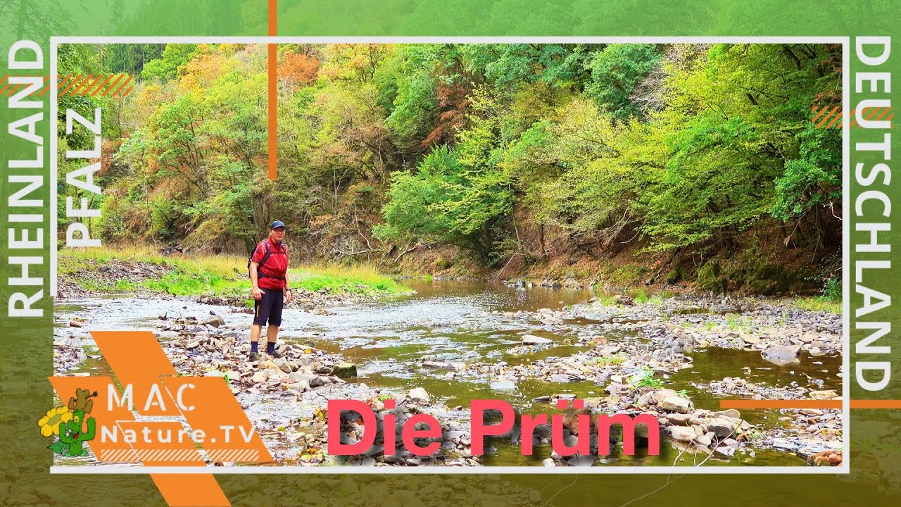 Pr&uuml;mtalweg - NaturWanderPark Delux - S&uuml;deifel