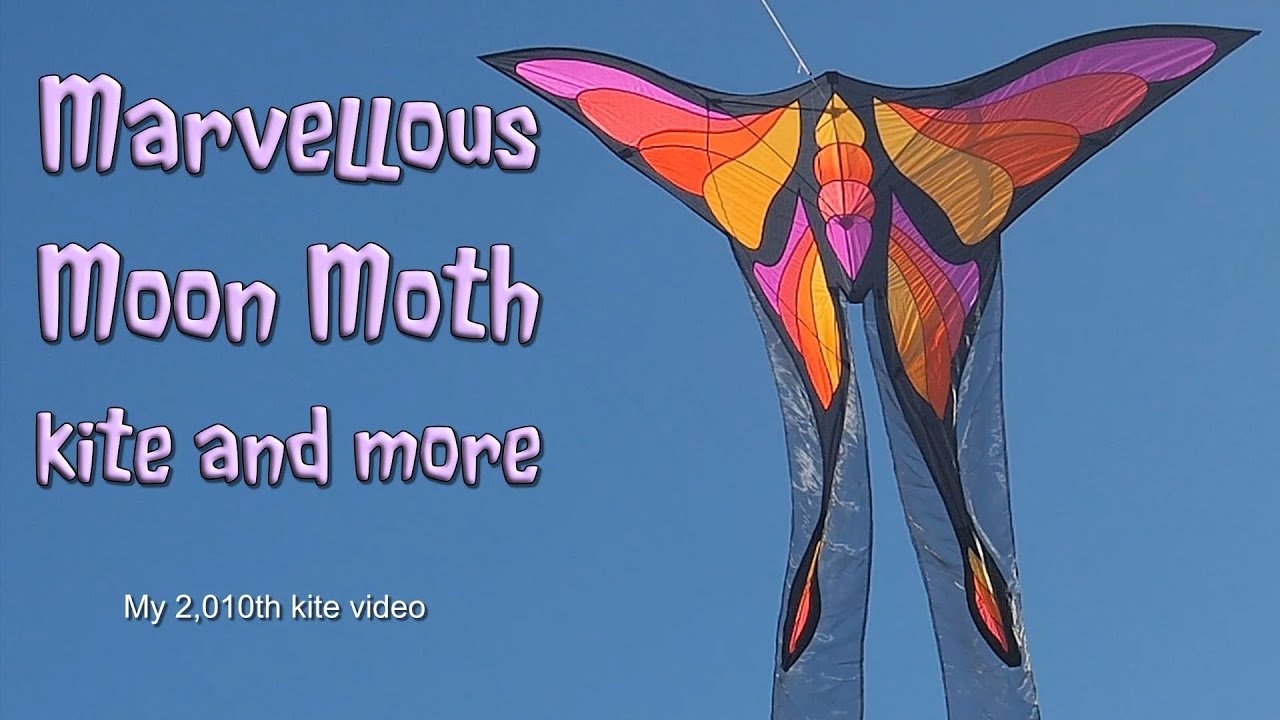 Marvellous Moon Moth kite and more