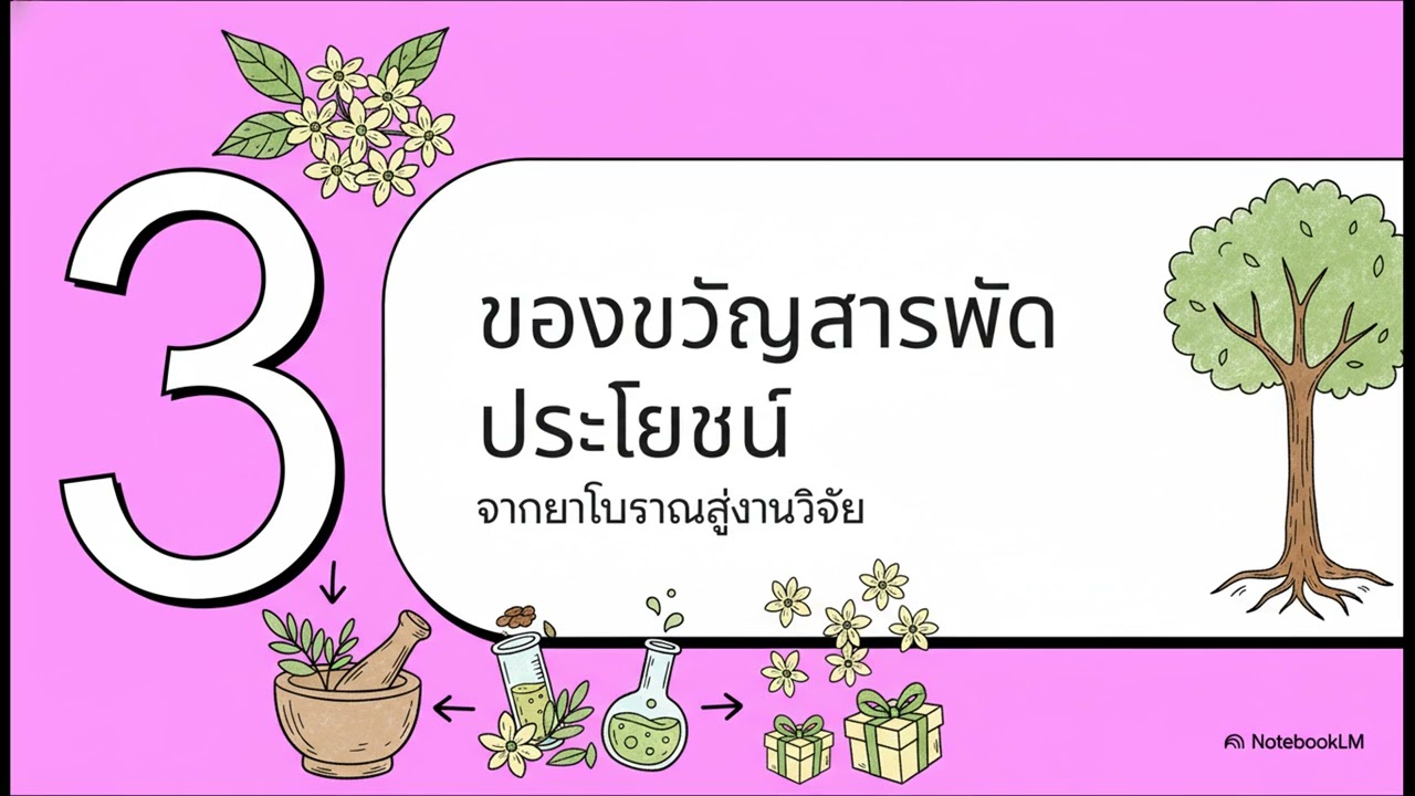 EP32 ยินดีที่ได้รู้จัก ต้นไม้ ต้นพิกุล  ของขวัญจากสรวงสวรรค์สู่ผืนดิน