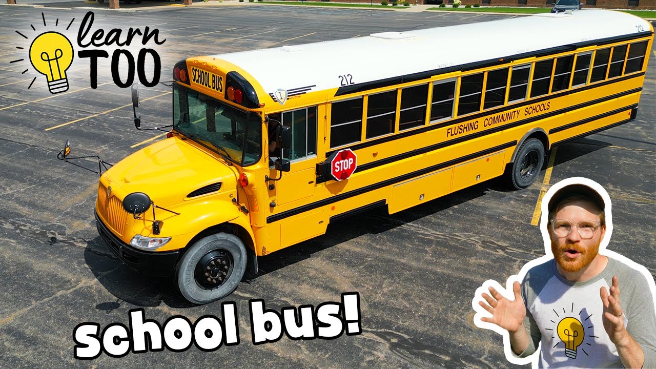 Poznaj autobus szkolny dla dzieci 🚌 Dowiedz się więcej o autobusie szkolnym | Edukacyjny film o autobusie szkolnym dla dzieci