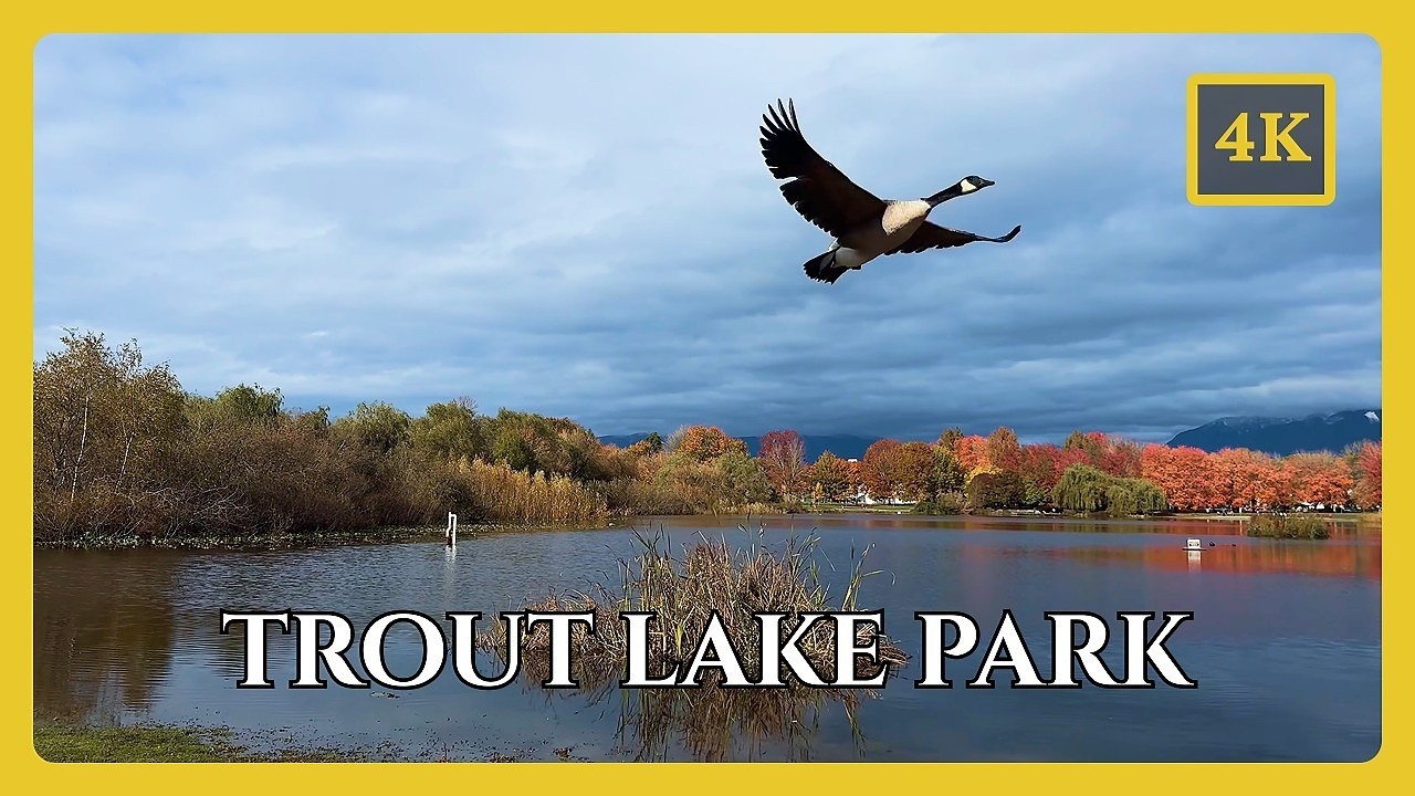 Trout Lake Park, Vancouver 🇨🇦 | Peaceful 4K Walking Tour