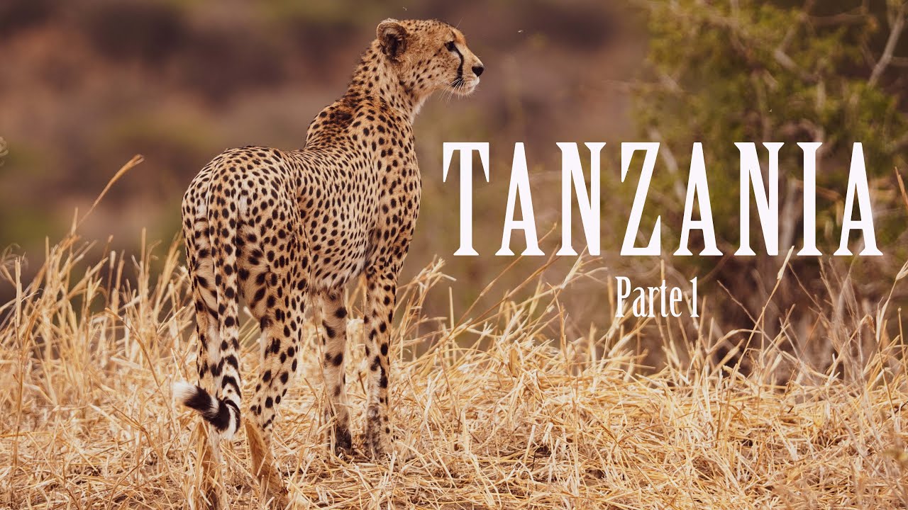 Viaggio in 🇹🇿 TANZANIA 🇹🇿 - (Parte 1) Dal Selous NP al Tarangire NP [Vlog ITA]
