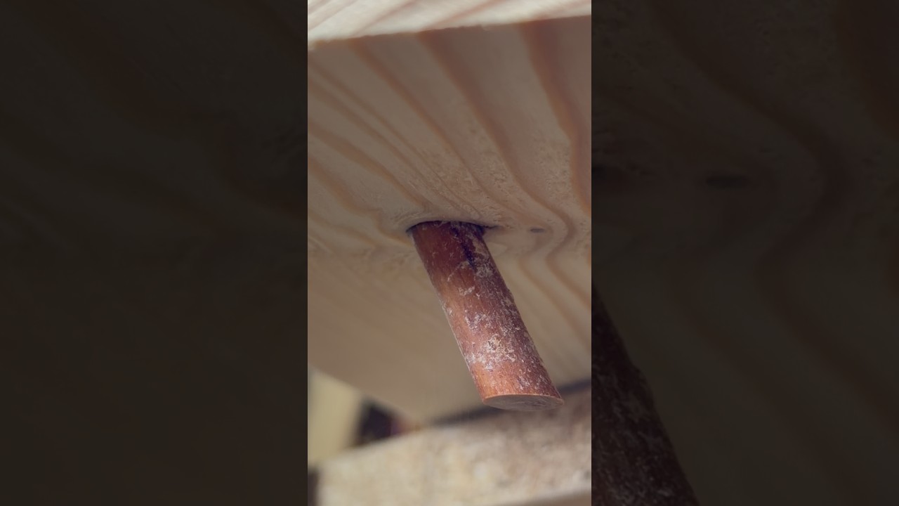 I Filled This Knot&hellip; This Happened #shorts #woodworking #diy