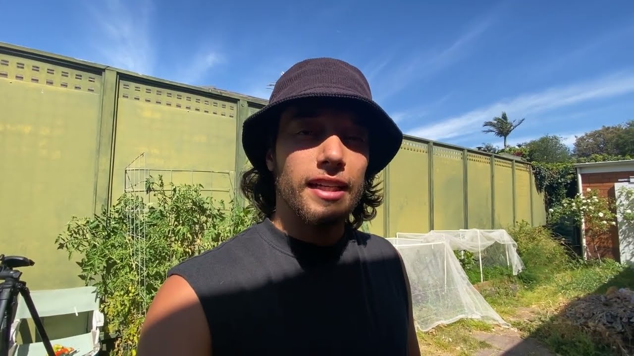 Don't Forget to Harvest the Goods! - #135 Daily In the Garden
