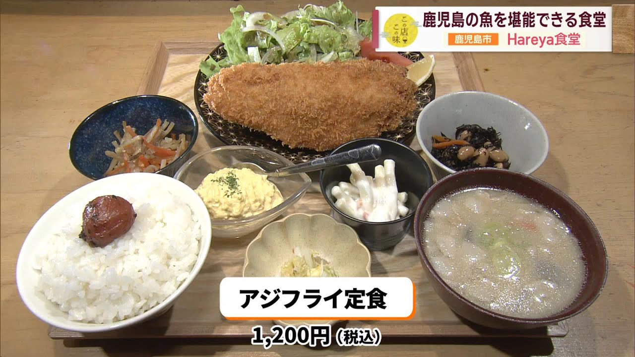 【大きなアジフライが人気】鹿児島の魚を堪能できる食堂 ～Hareya食堂～  ”Jチャン＋”この店この味(3月14日(火)放送)