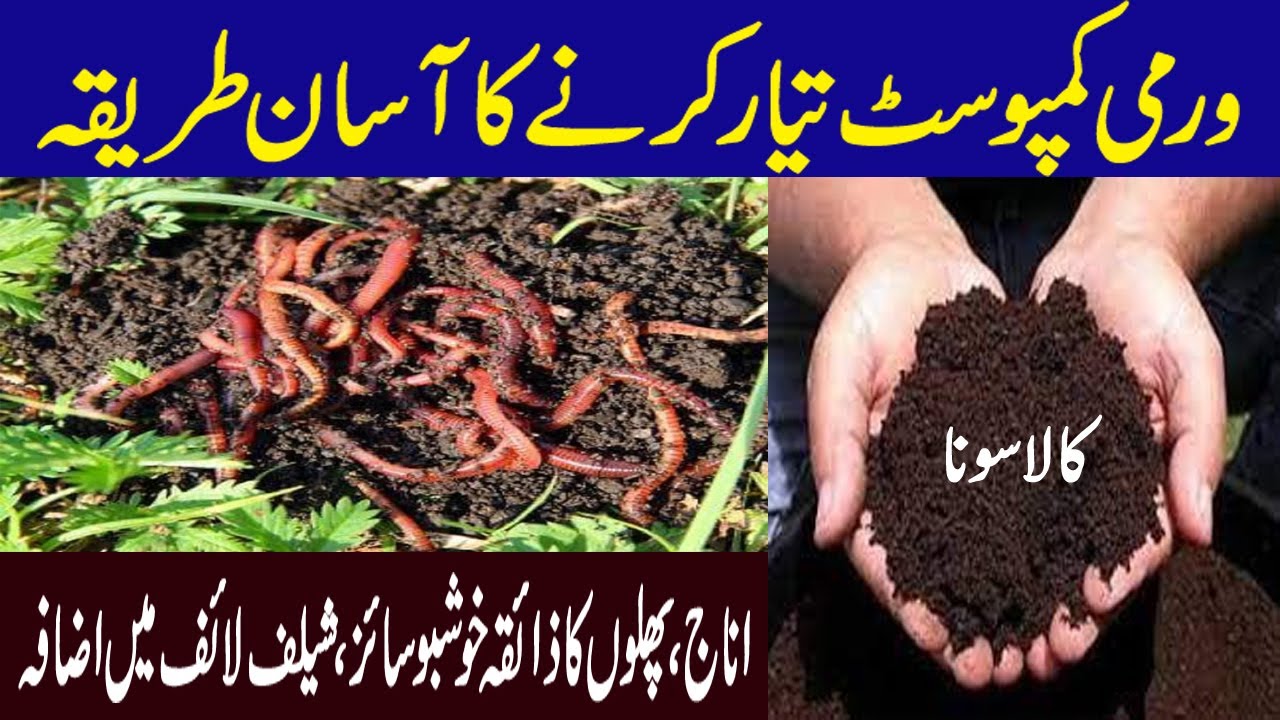 How to Make Vermicompost At Home | VermiCompost Busniess | Vermicompost Kaise Banaye Urdu/ Hindi ||