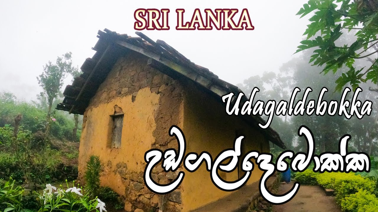 උඩගල්දෙබොක්ක | Udagaldebokka | Sri Lanka | තෙලඹුගල වැරදුන කුරුමානම