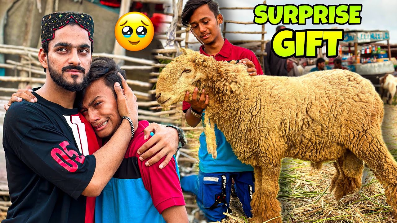 SURPRISING MY CAMERA MAN WITH DUMBA GIFT | GONE EMOTIONAL | MISHKAT KHAN | COW MANDI