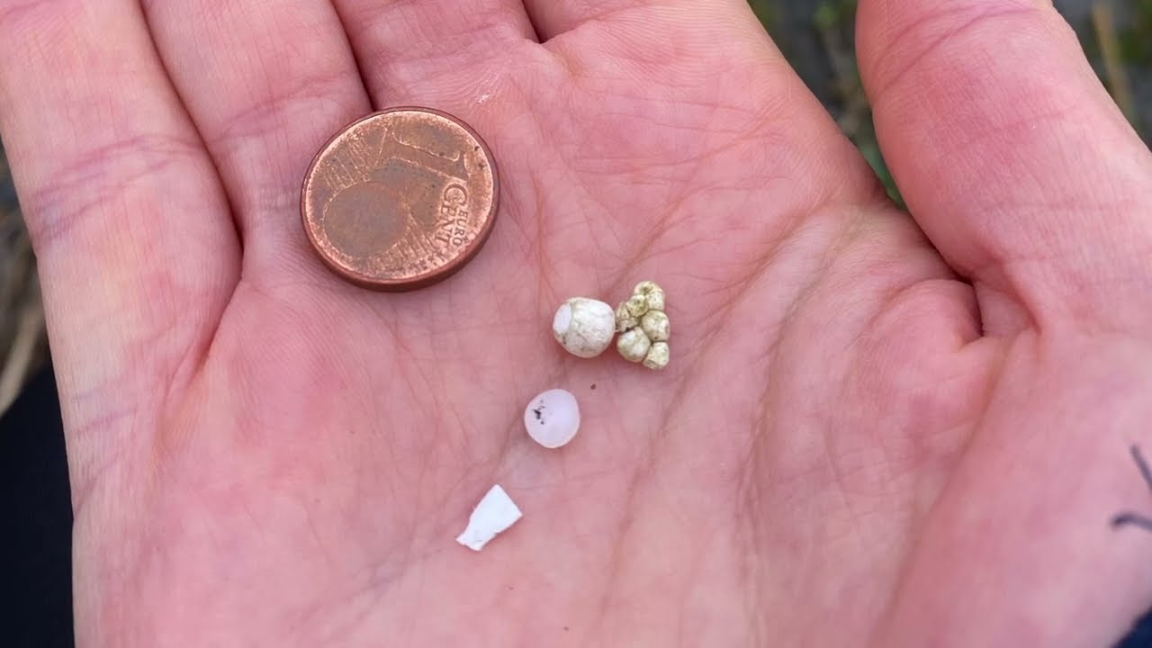 Mikroplastik in der Umwelt