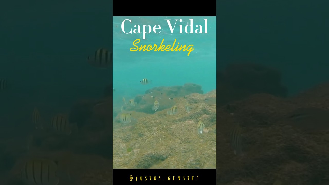 Things to do in Cape Vidal #shorts #snorkeling #travel