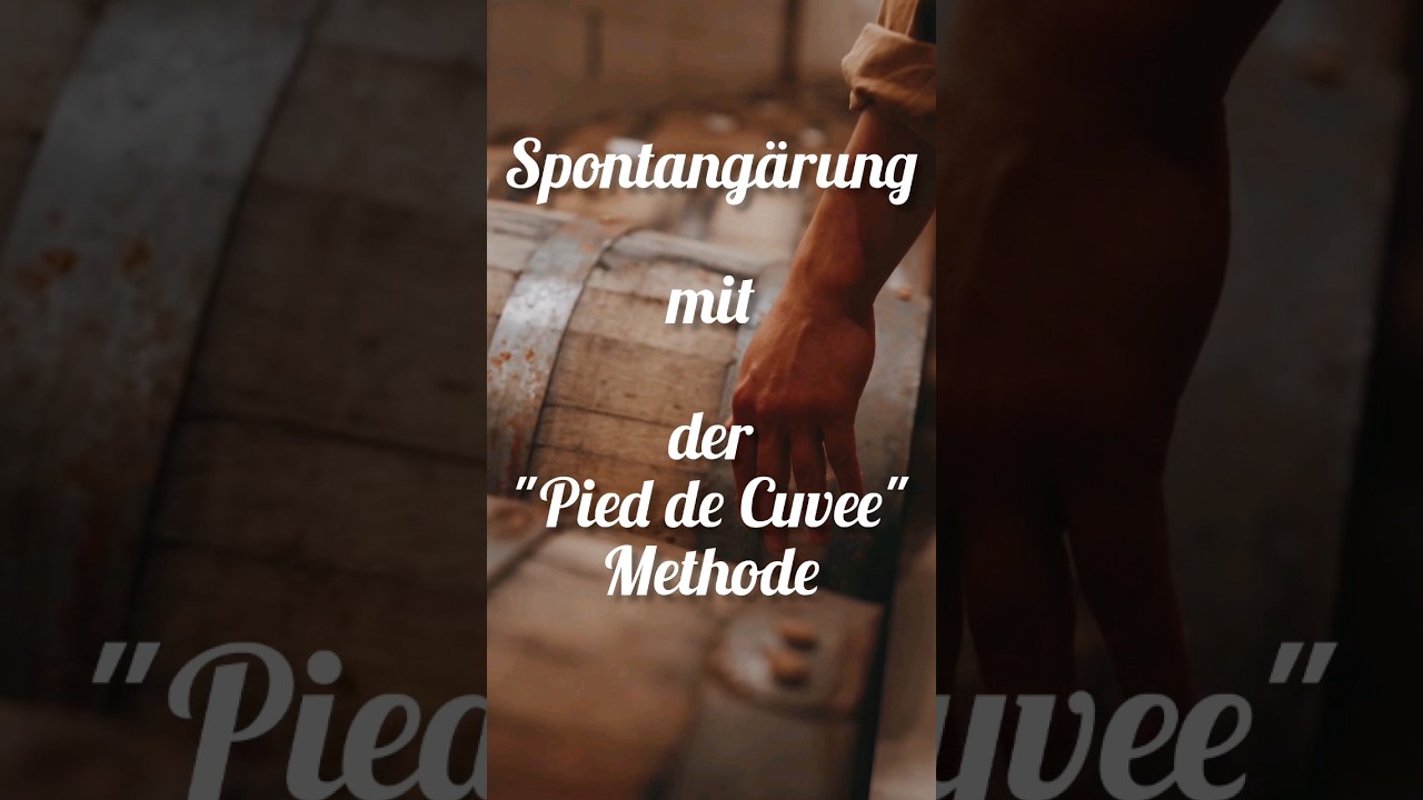 Spontang&auml;rung f&uuml;r Naturwein #pieddecuve#naturwein