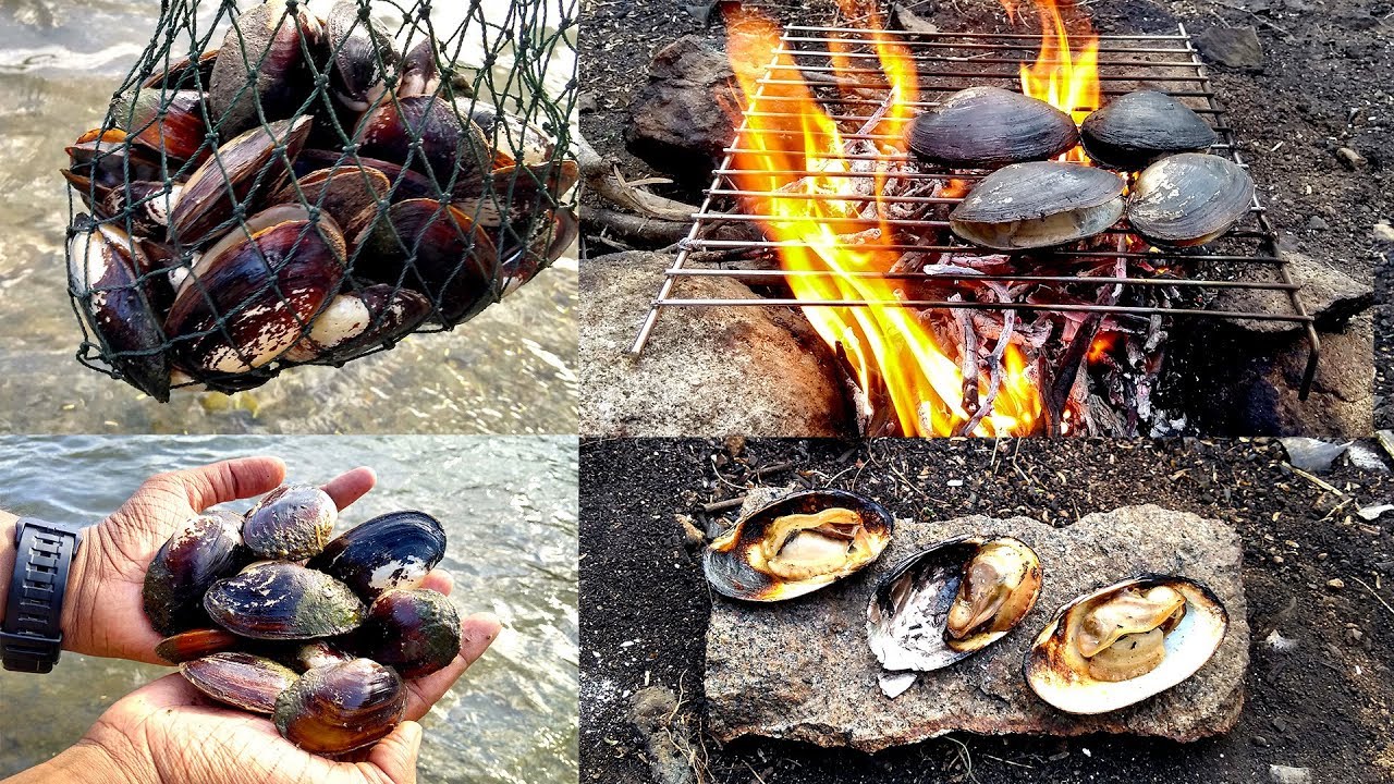 outdoor | catch and cook | Freshwater Mussel cooking | Duck Mussel | Anodonta anatina
