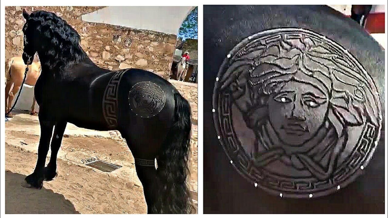 Horse Haircut Designs 😱 | Amazing Barber Skills By Rob The Original