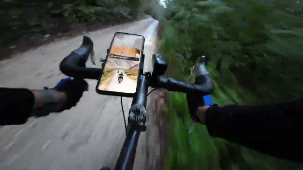 Gravel ride in Bosnian forest 🇧🇦