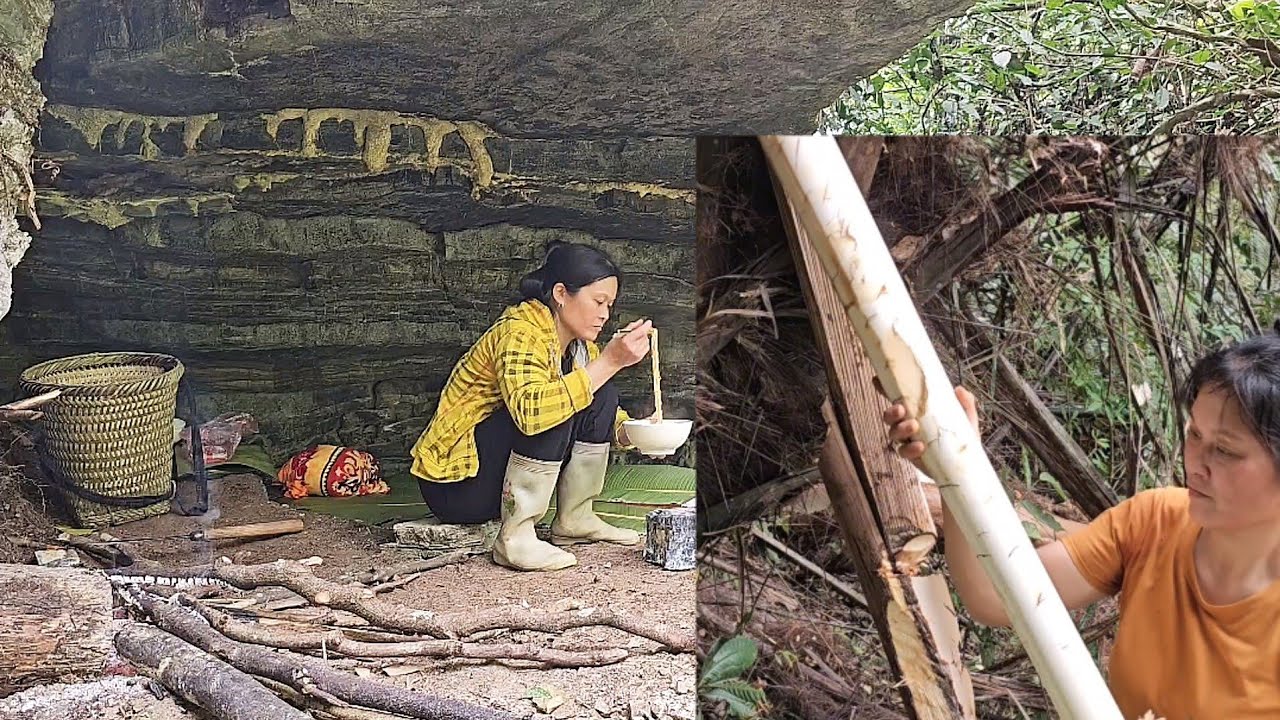 Go to the forest to find tubers to sell to buy bowls and instant noodles | Ph&ugrave;ng thị n&aacute;i