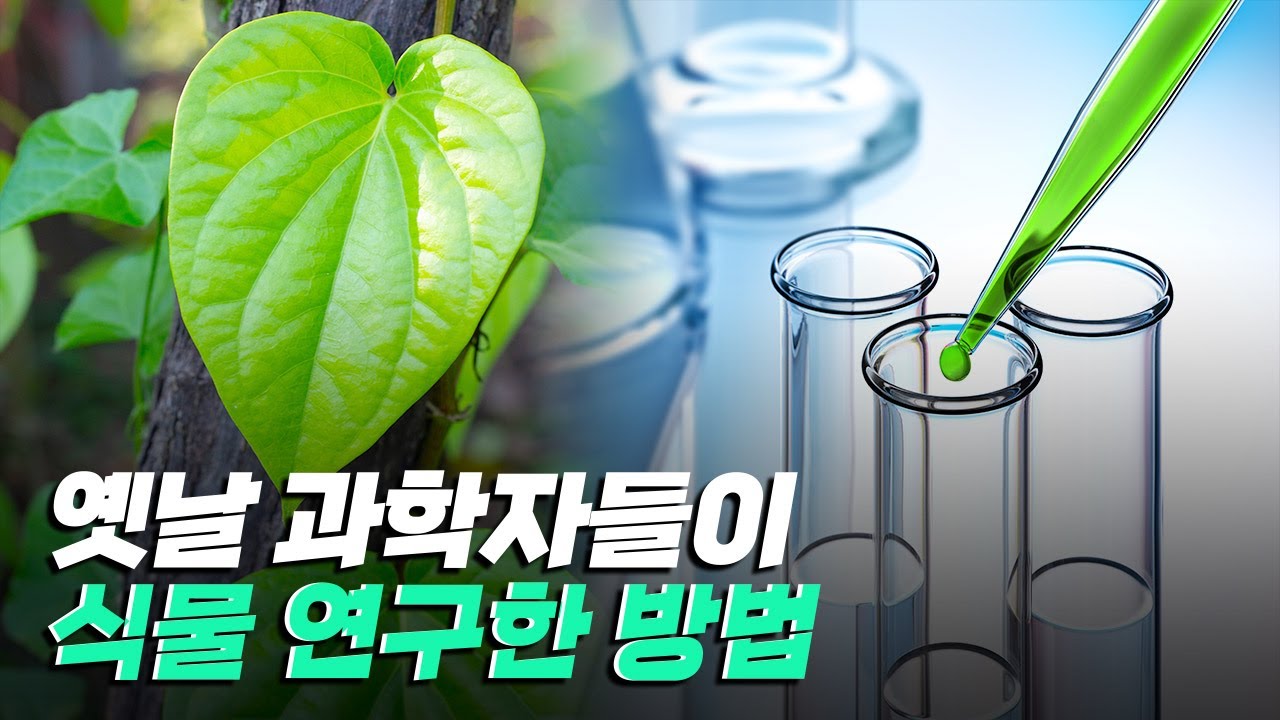 [핫클립] 옛날에는 식물을 어떻게 연구했을까? / YTN 사이언스