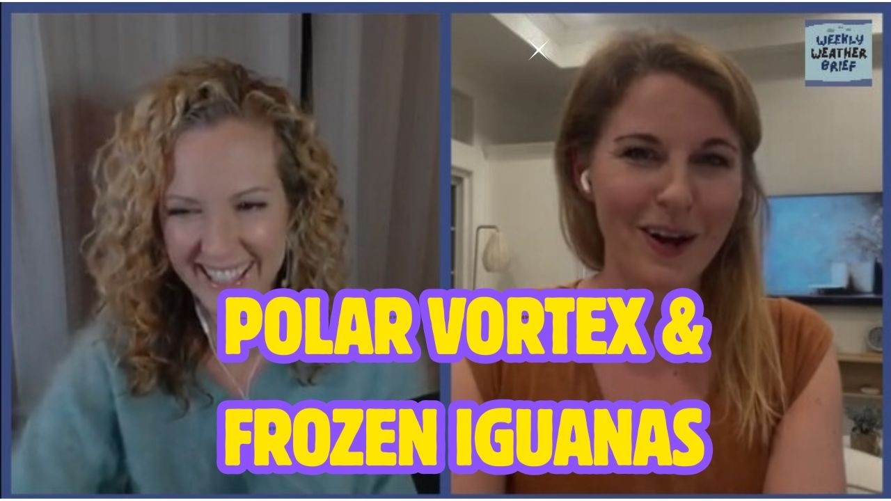 Polar Vortex & Frozen Iguanas