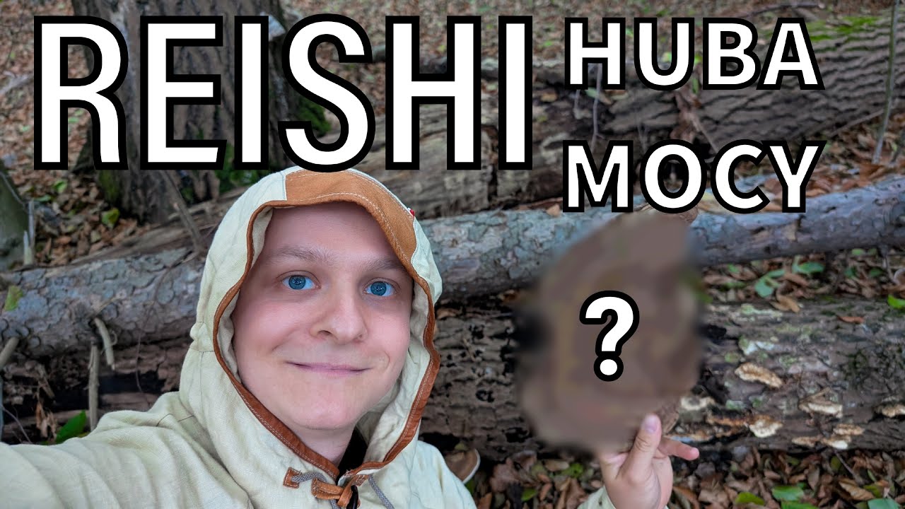 Zwykła HUBA o niezwykłej MOCY - REISHI