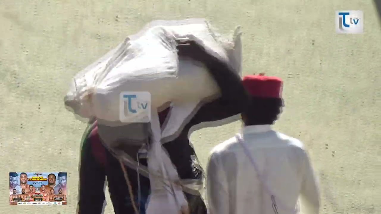 Journée Albourakh events Talfa Ama Nekh Fils de Balla & Thiatou Yoff..un gala de lutte exceptionnel.