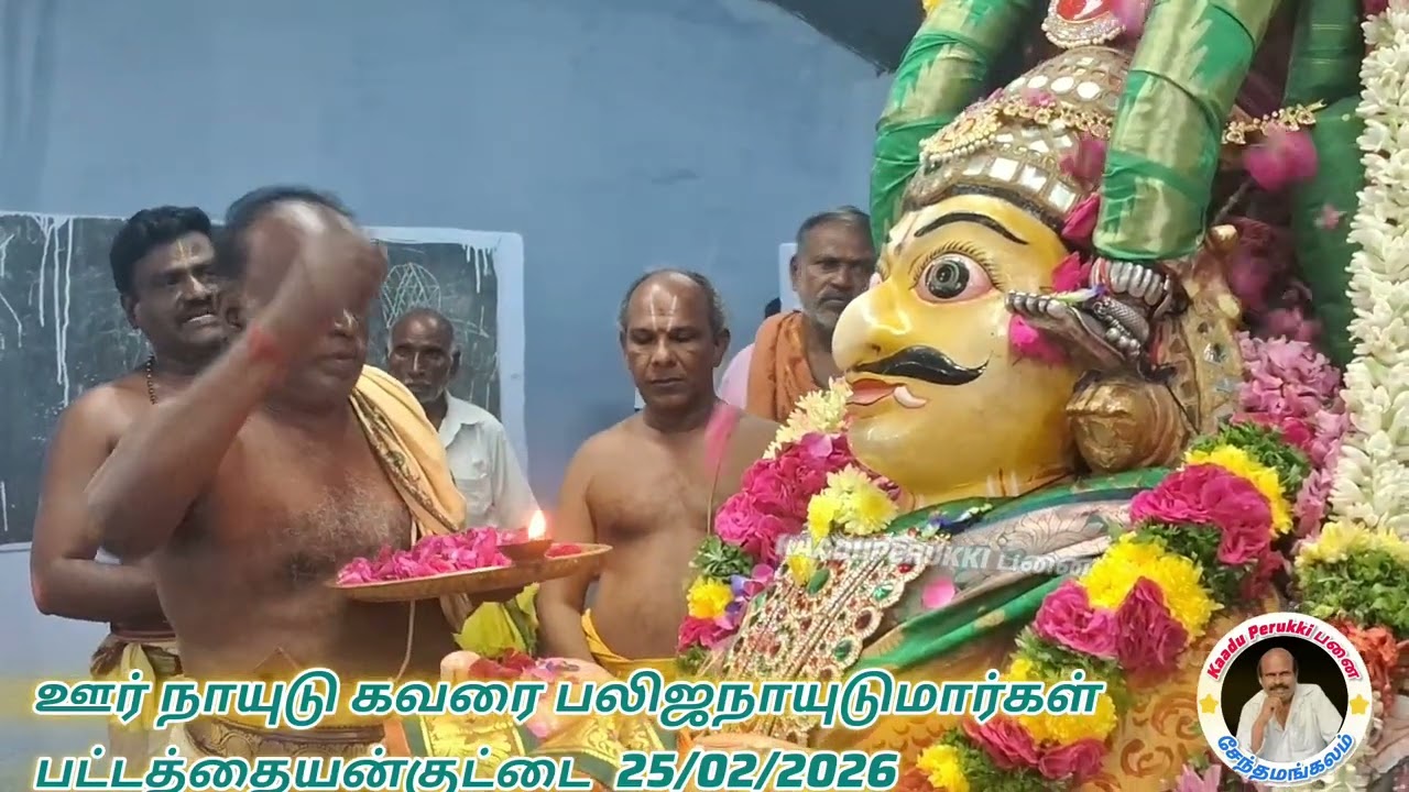 மாசிமகத #திருத்தேர் #பெருவிழா# கருட வாகனம் #4 நாள்#