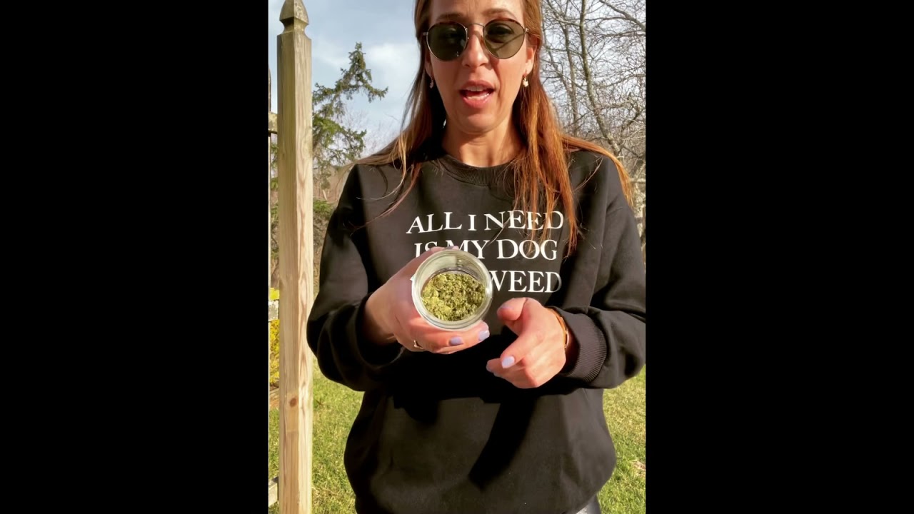 Mendo Cheese 🧀