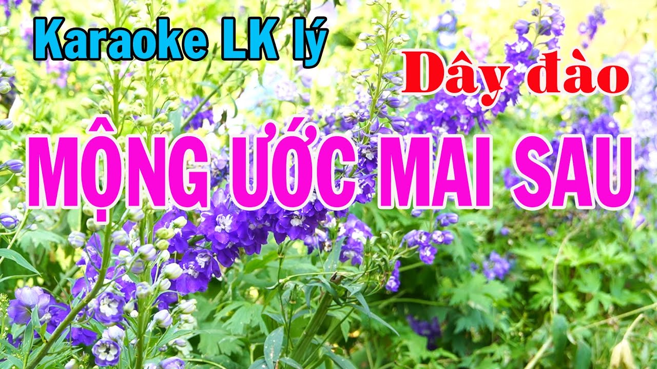Karaoke Liên khúc lý MỘNG ƯỚC MAI SAU - DÂY ĐÀO