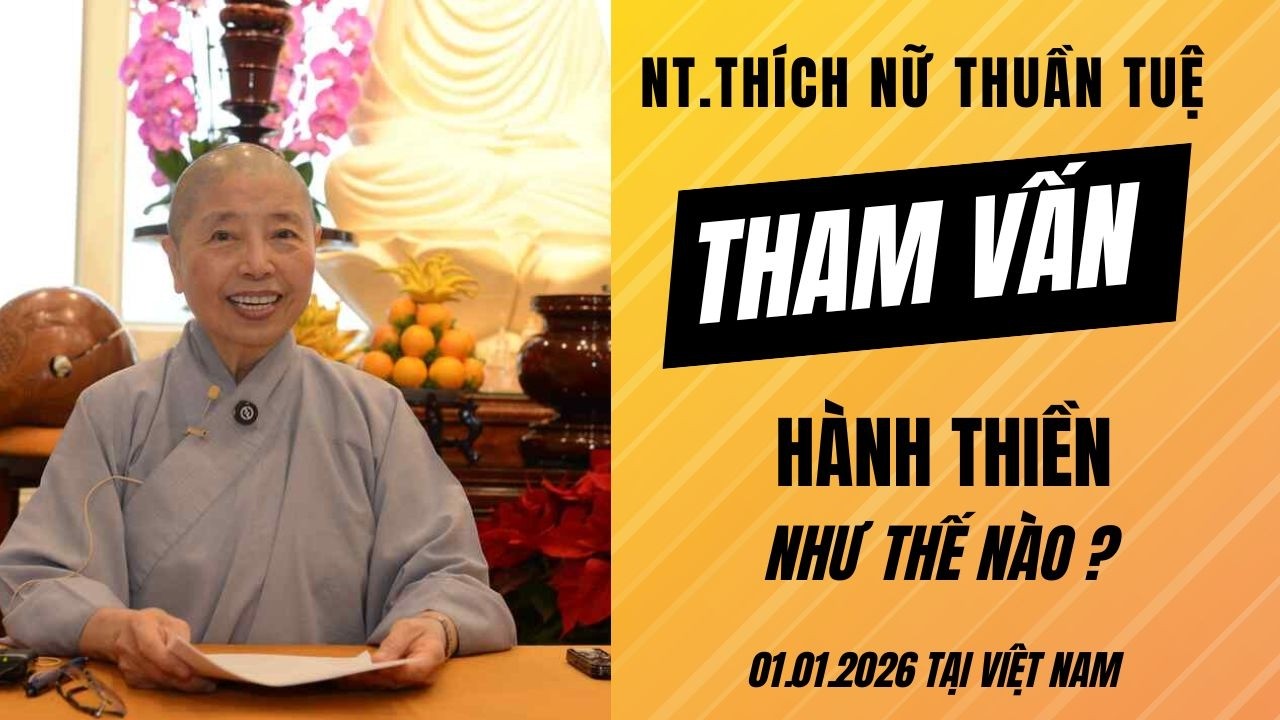 Hành Thiền Như Thế Nào? | Tham Vấn | NT.Thuần Tuệ
