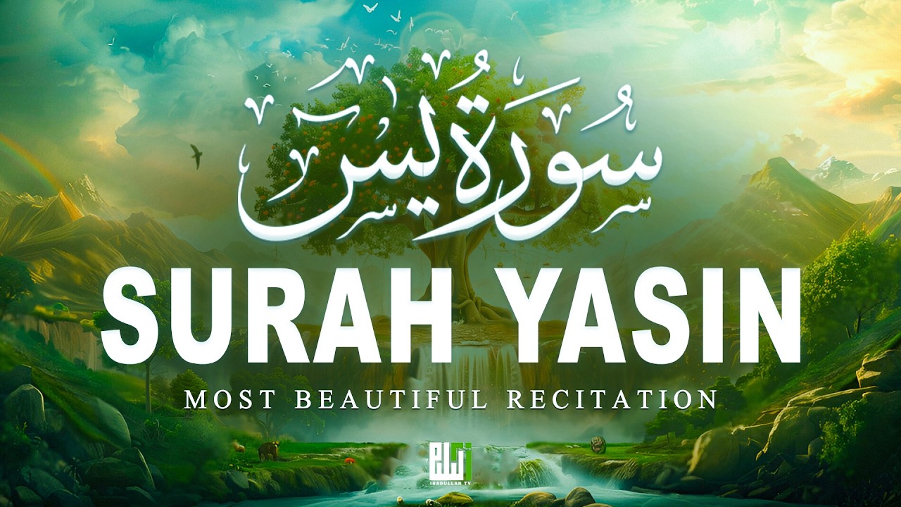 Surah Yaseen سورة يس | Soothing & Beautiful Recitation for Inner Peace by Alaa Aqel | ibadullah TV