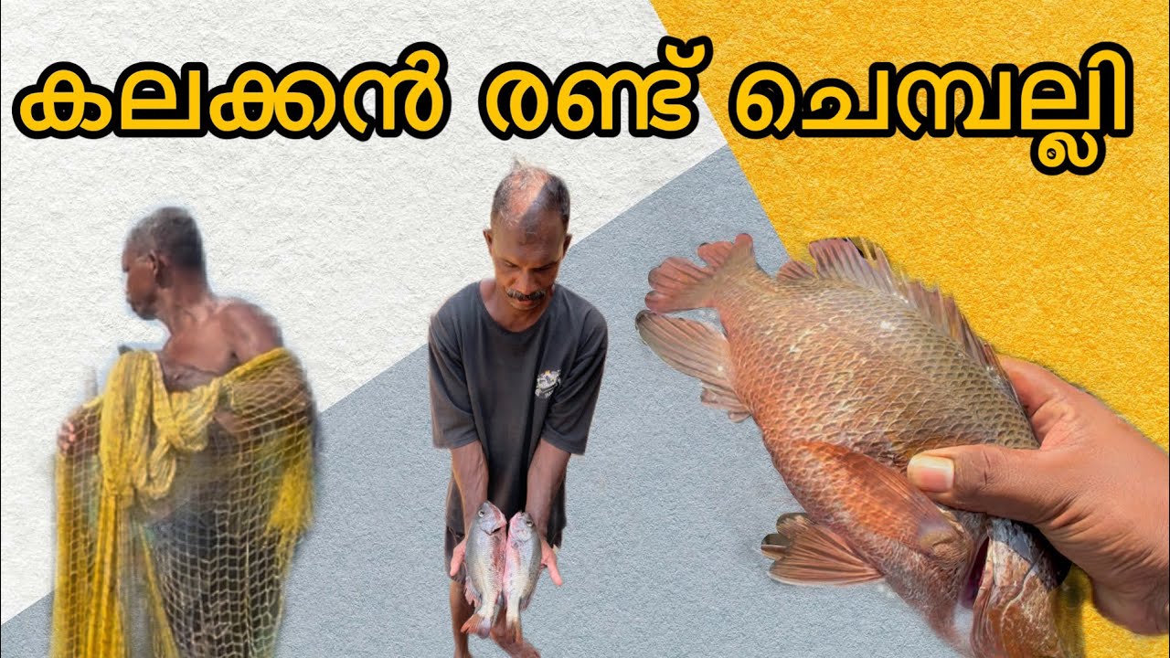 രണ്ട് ചെമ്പല്ലിനെ പൊക്കി🥳| #fishingvlog #viral #fishing #viralvideo #fishingvideo #viralvideos 