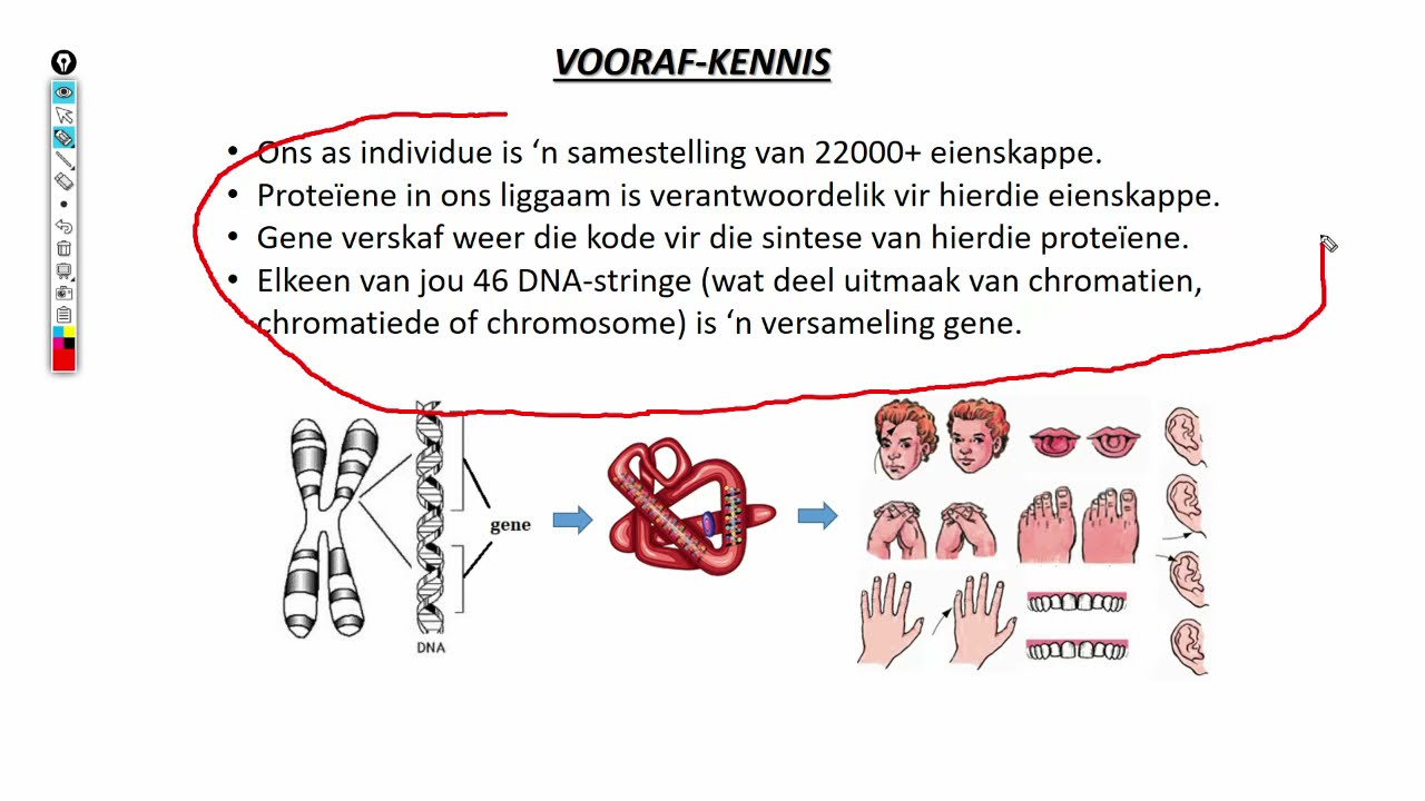 Lewenswetenskappe GR12 Genetika Les1