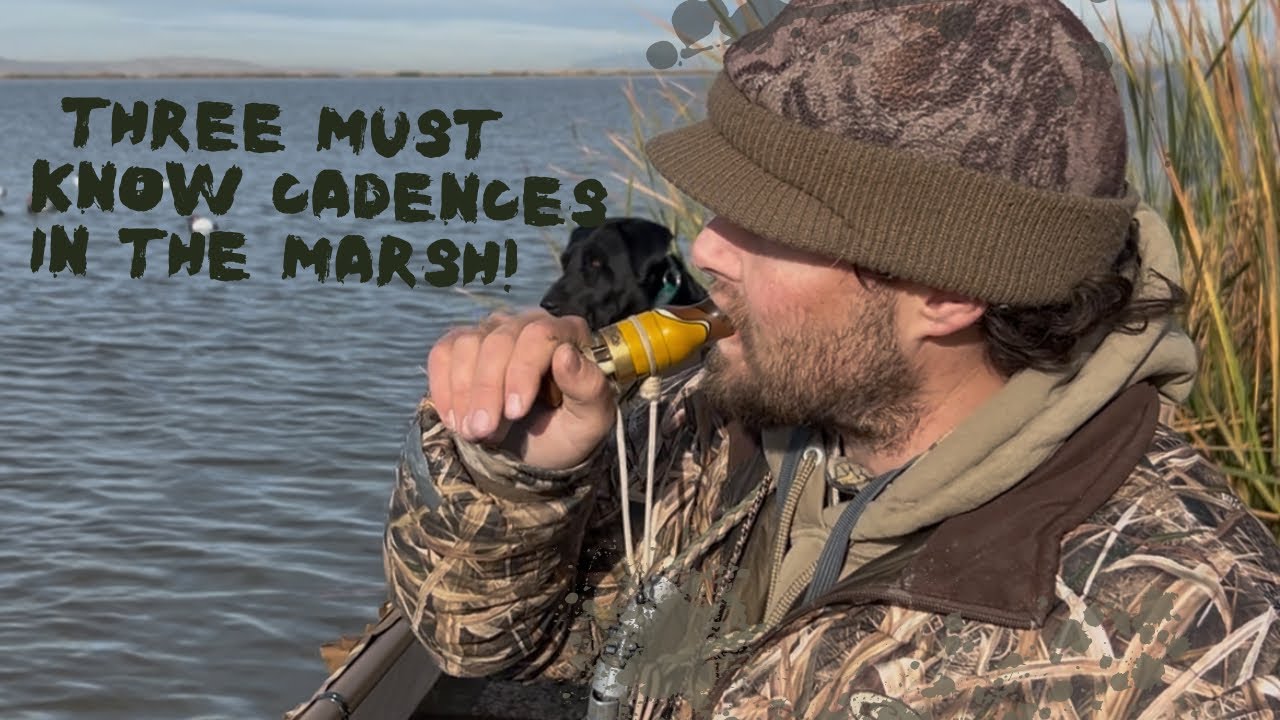 Three easy duck call notes to kill more birds!