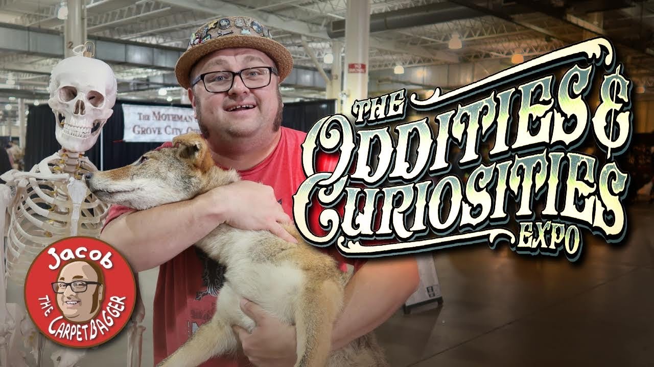 Oddities and Curiosities Expo Columbus - Oddities Shopping Spree