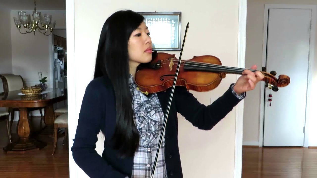 Blank Space by Taylor Swift - Violin Cover