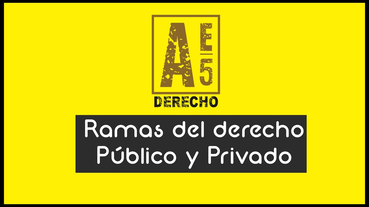 ⚖️¿Cuáles son las ramas del derecho? Conoce las diferencias entre derecho público y privado⚖️